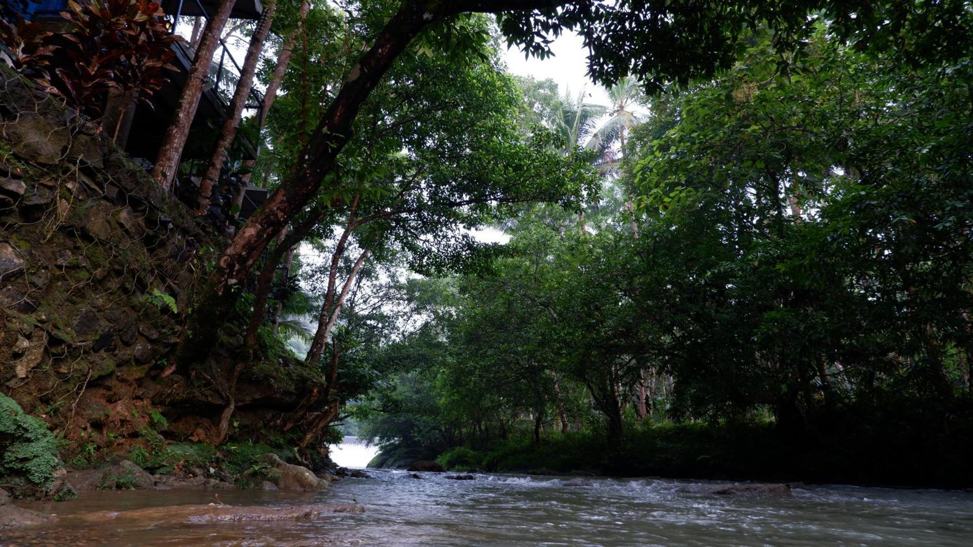 Hau Eco Lodges Citumang Pangandaran Luaran gambar