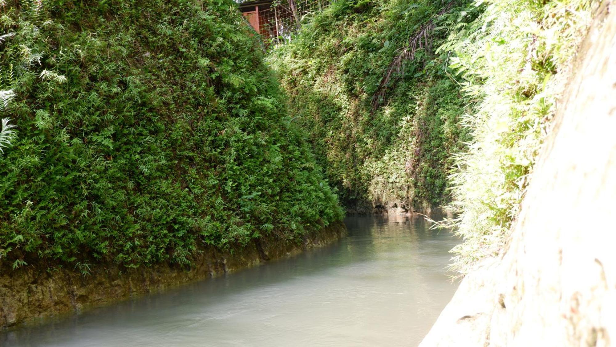 Hau Eco Lodges Citumang Pangandaran Luaran gambar