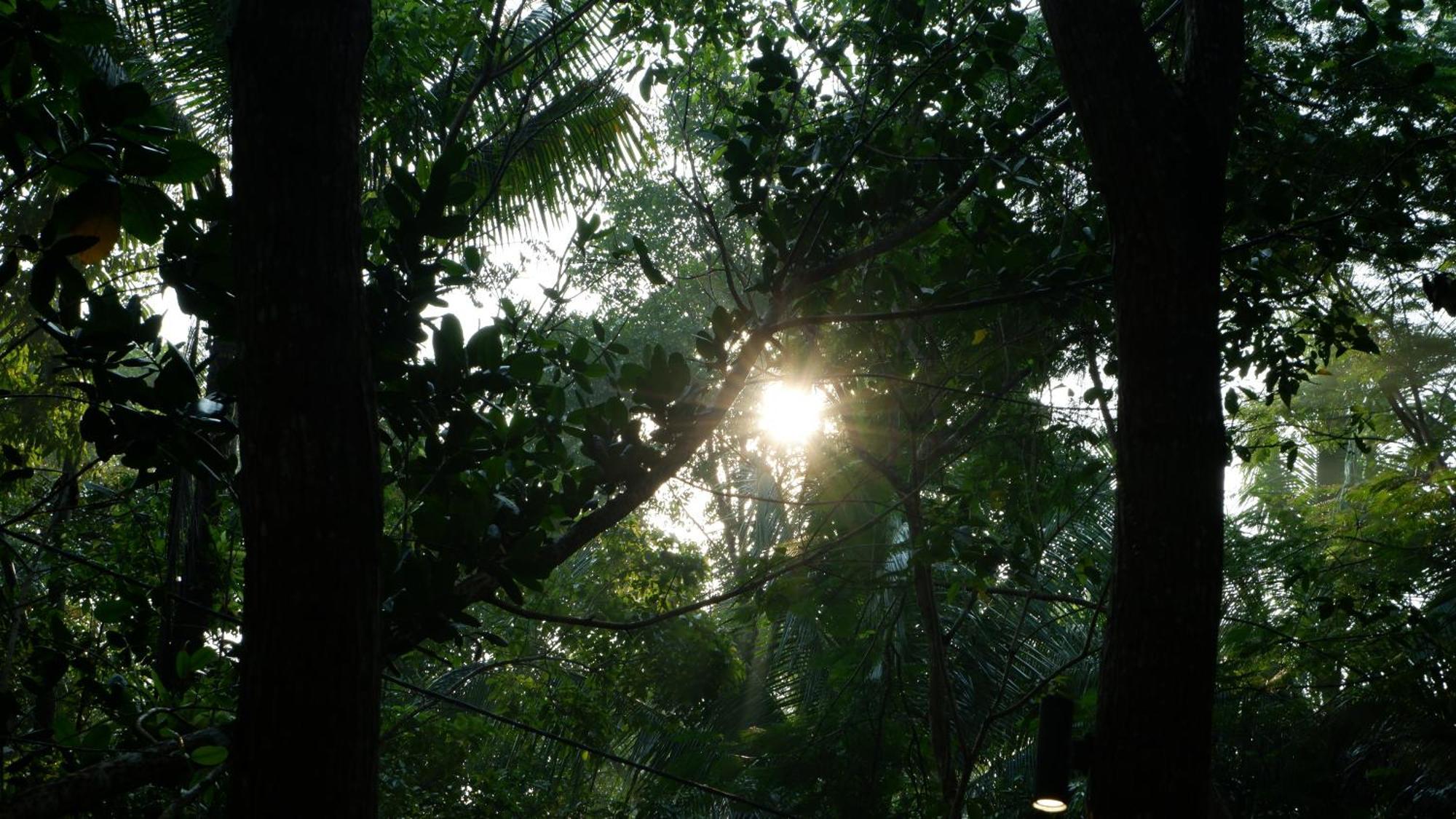 Hau Eco Lodges Citumang Pangandaran Luaran gambar